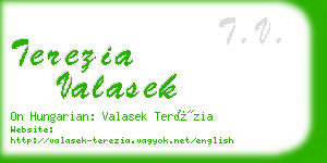 terezia valasek business card